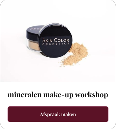 mineralen make-up workshop