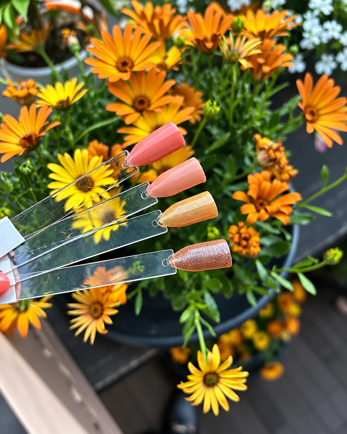 Peach en gouden kleurstalen van Studio Rosa tussen oranje bloemen